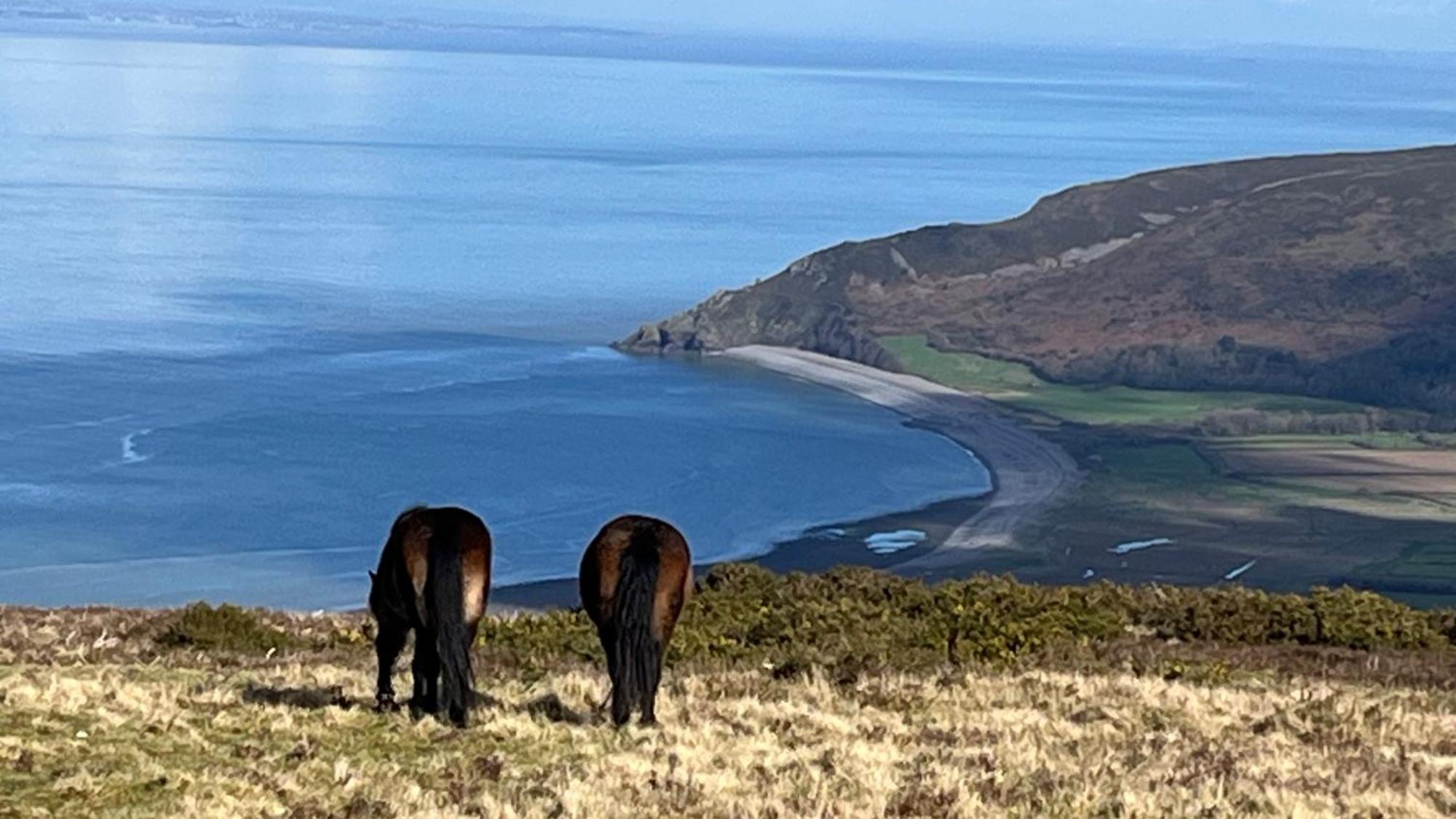 Exmoor Retreat On Two Moors Way Withypool Exterior foto