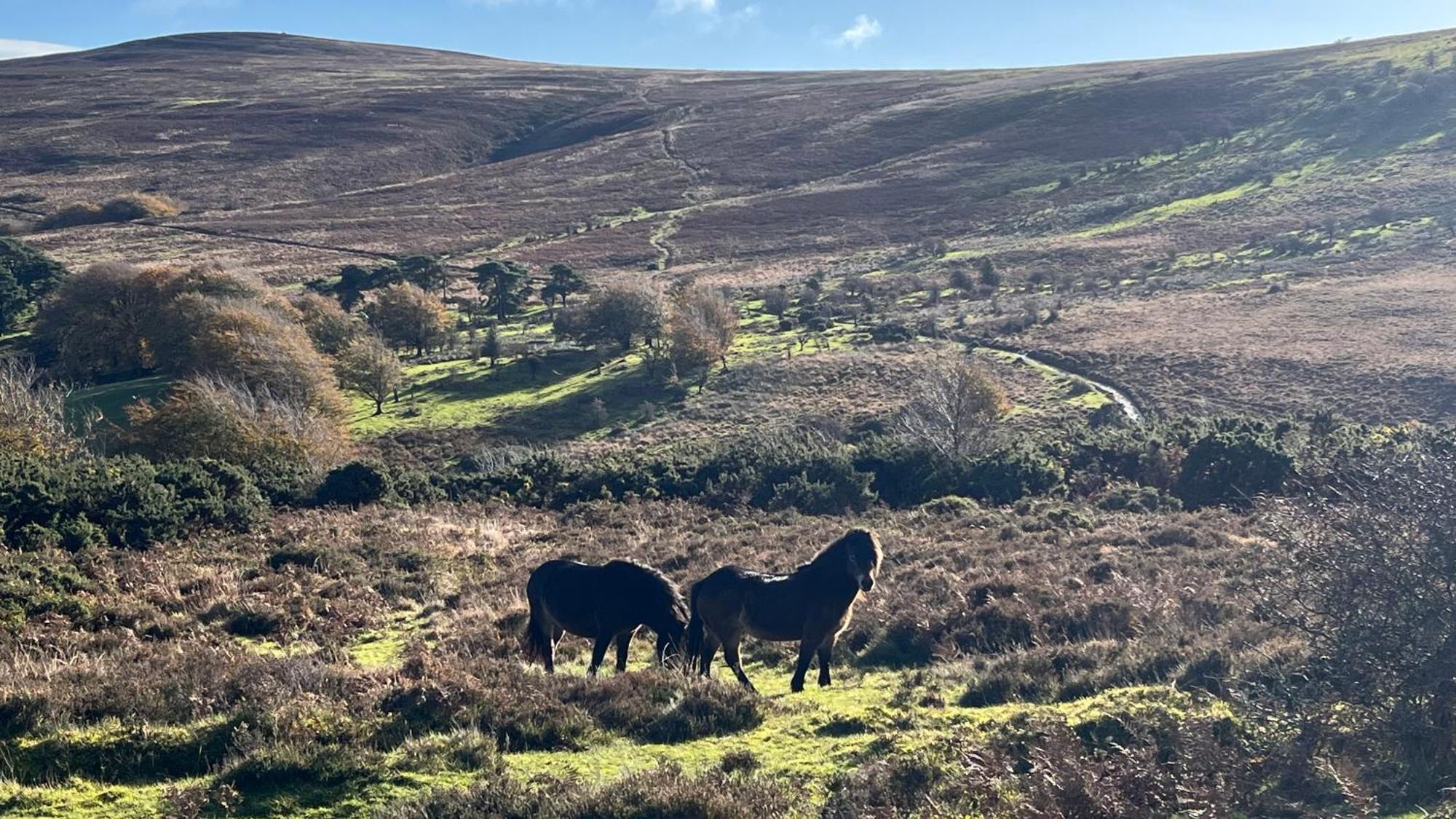 Exmoor Retreat On Two Moors Way Withypool Exterior foto